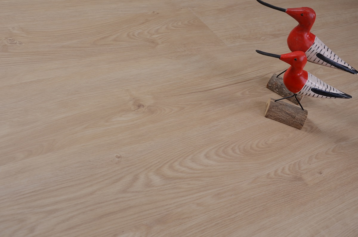 Кварцвиниловый SPC ламинат Evofloor Оптима Дуб Гавана Oak Gavana 016-6 1120×184×4,2 фото в интерьере