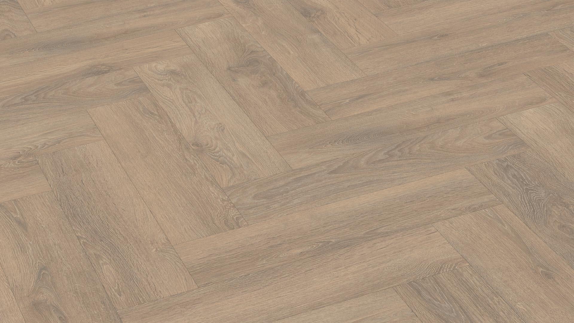 Ламинат Meister Edition M6/7004 Дуб Песчаный венгерская елка 620×155×8 Ламинат Meister Edition M6/7004 Дуб Песчаный венгерская елка 620×155×8