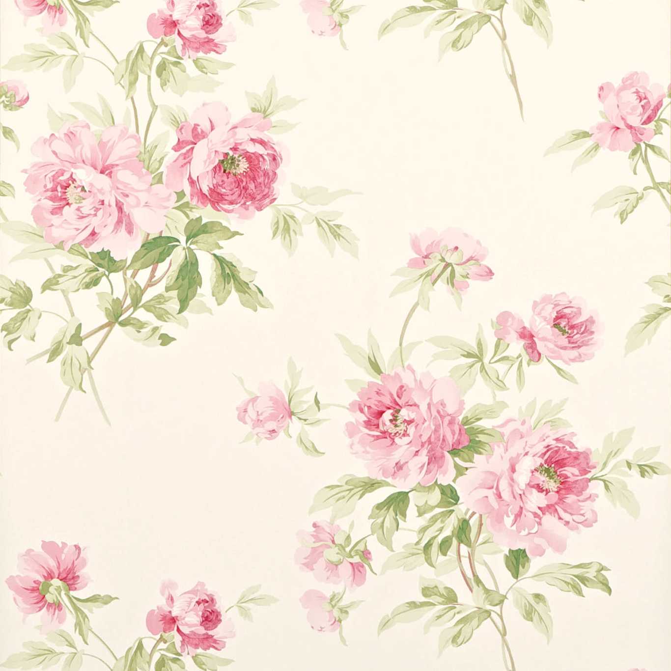 Обои Sanderson One Sixty Adele Rose/Cream DCAVAD101
