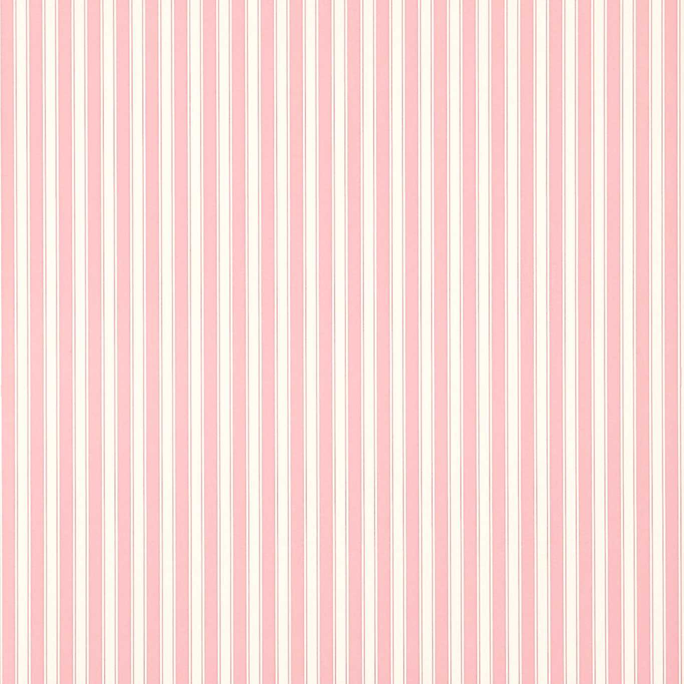 Обои Sanderson One Sixty New Tiger Stripe Rose/Ivory DCAVTP101