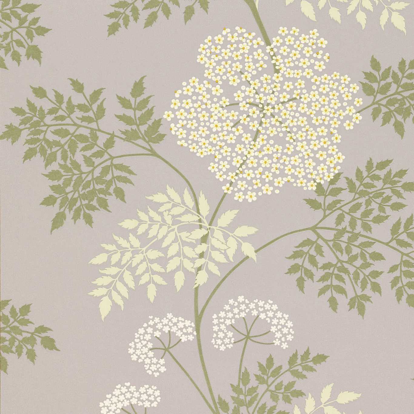 Обои Sanderson One Sixty Cowparsley Amethyst DOPWCO103