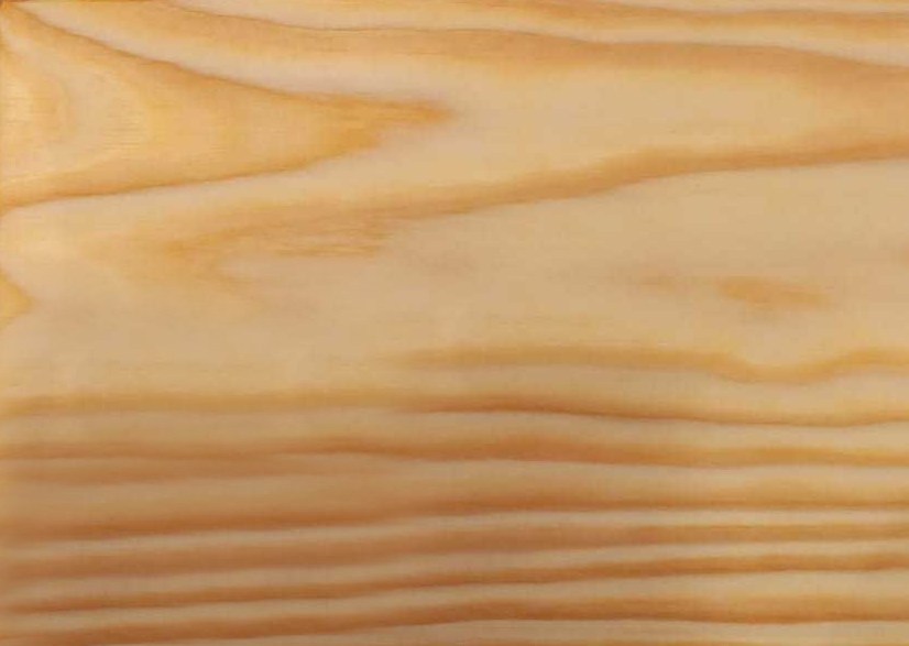 Бесцветное масло с твердым воском для дерева Timberex Wax Oil PWR750.1 Clear 1 л Бесцветное масло с твердым воском для дерева Timberex Wax Oil PWR750.1 Clear 1 л