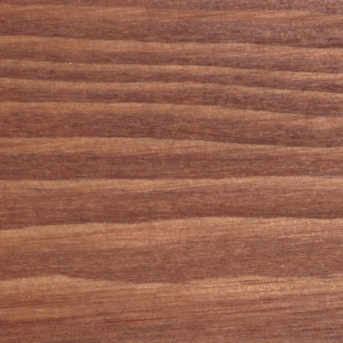 Масло тиковое для дерева Borma Teak Oil 0360-12046.125 Темная вишня 0,125 л Масло тиковое для дерева Borma Teak Oil 0360-12046.125 Темная вишня 0,125 л