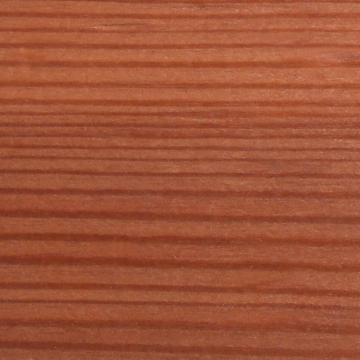 Масло датское для террас Borma Terrace Oil 4971IL-729.125 Лиственница 0,125 л Масло датское для террас Borma Terrace Oil 4971IL-729.125 Лиственница 0,125 л