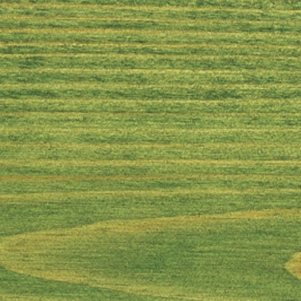 Масло для террас Saicos Holz-Spezialol цвет 0116 Для сосны и импрегнированной древесины 2,5 л Масло для террас Saicos Holz-Spezialol цвет 0116 Для сосны и импрегнированной древесины 2,5 л