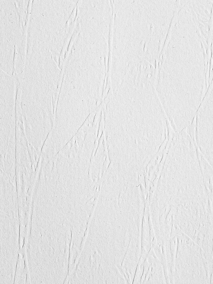 Обои под покраску New Company 9010-080 25×1,06 Обои под покраску New Company 9010-080 25×1,06