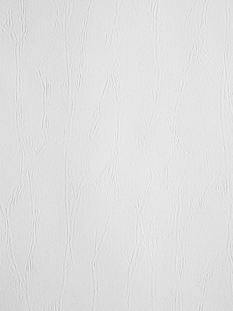 Обои под покраску New Company 9010-080 25×1,06 Обои под покраску New Company 9010-080 25×1,06