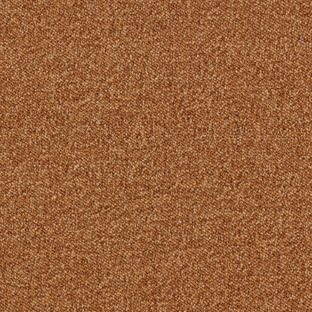 Ковролин Associated Weavers Maxima цвет 85 1000×4000×6 Ковролин Associated Weavers Maxima цвет 85 1000×4000×6