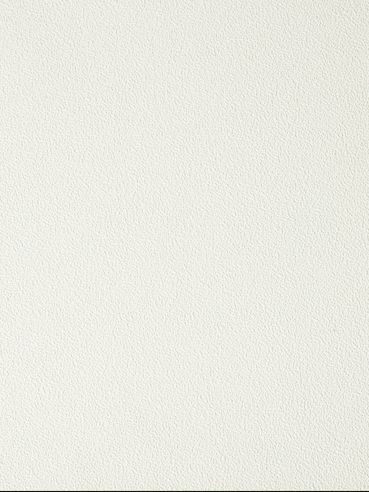 Обои под покраску New Company Antivandal 4025-010 25×1,06 Обои под покраску New Company Antivandal 4025-010 25×1,06