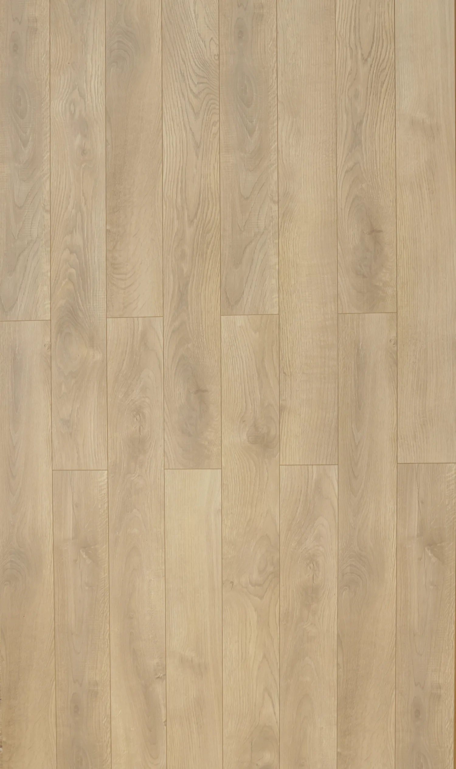 Ламинат AlixFloor City Line Дуб Пепельный Ирландский ALX824 1261×133×12