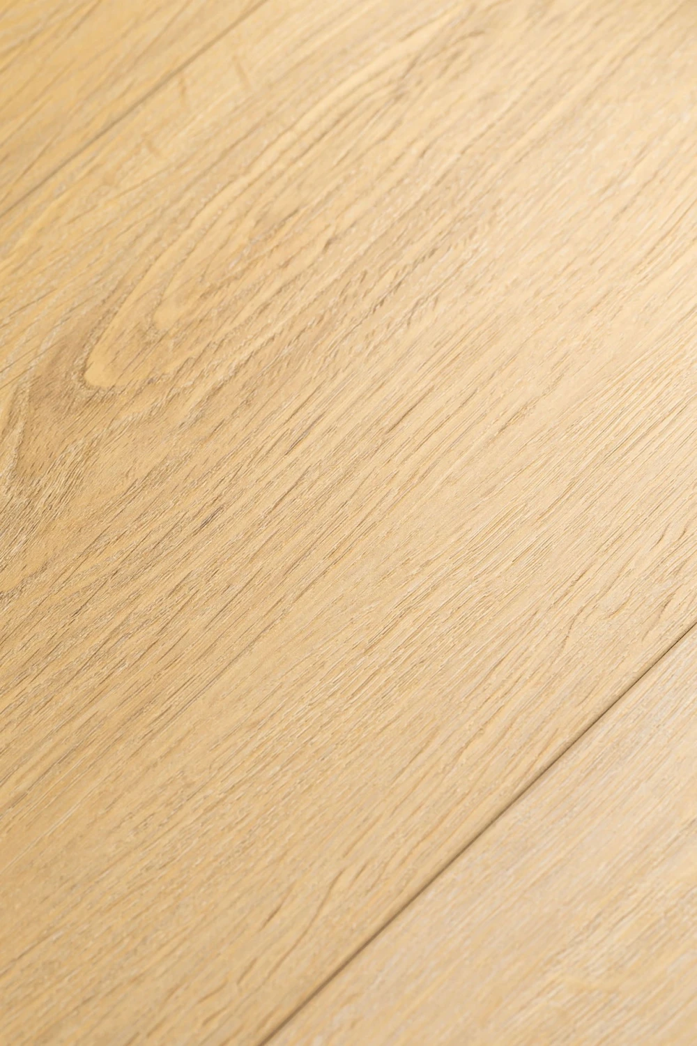 Ламинат FirstFloor Черный Бархат Дуб Ойкос 1F412 1520×196×8