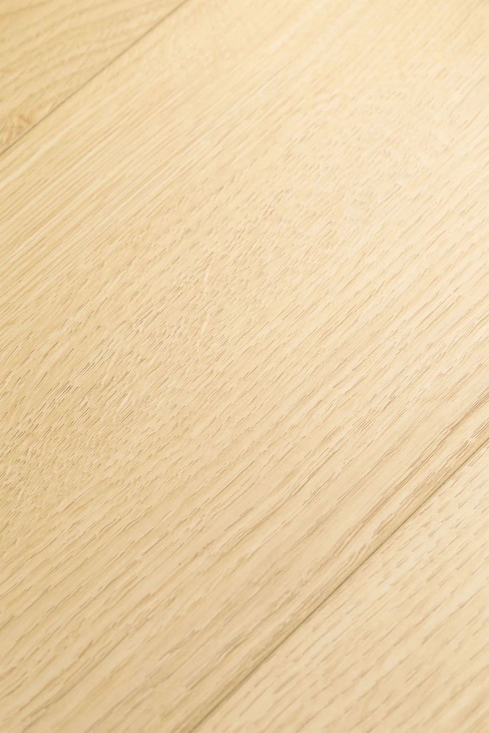 Ламинат FirstFloor Черный Бархат Дуб Зефир 1F417 1520×196×8