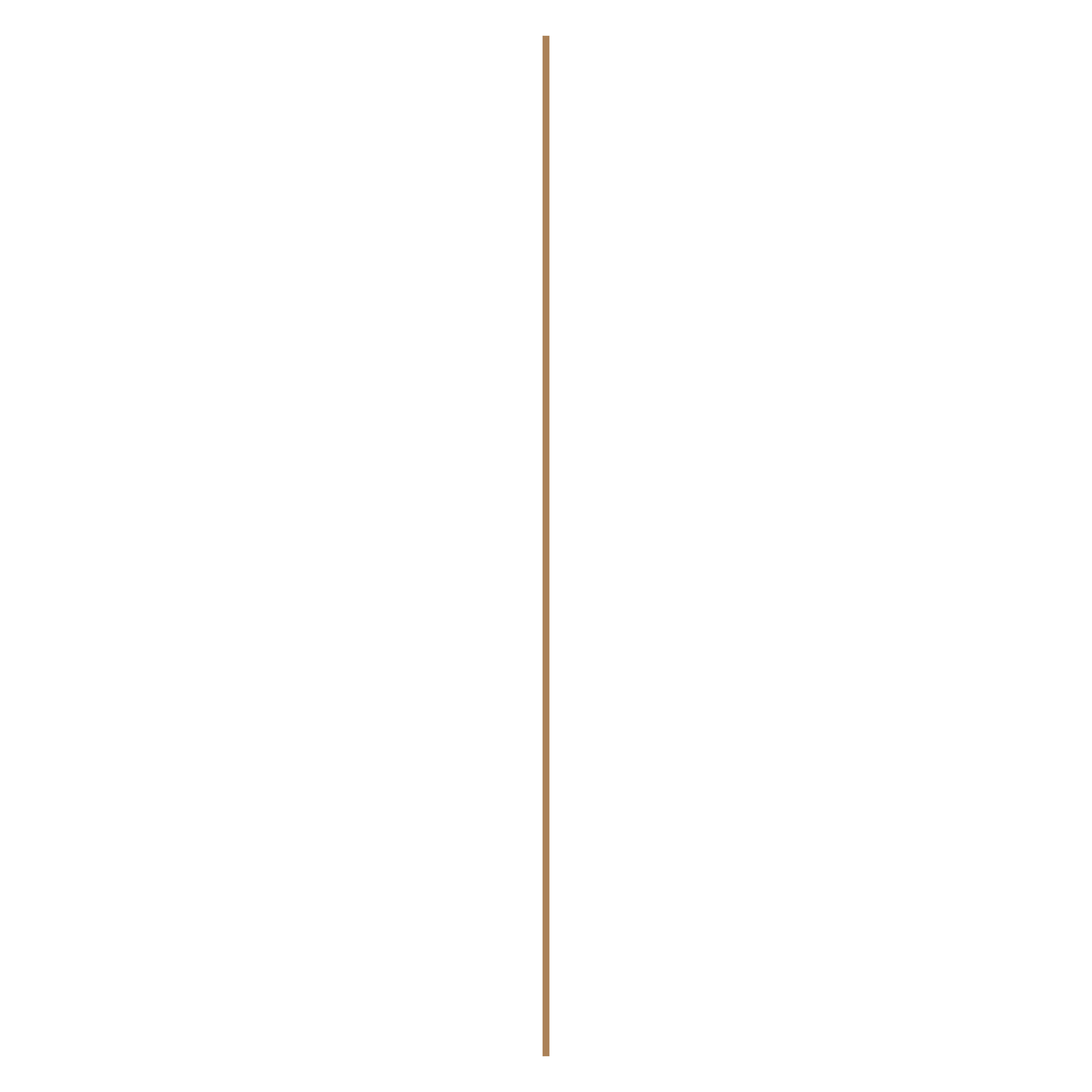 Финишный молдинг Ultrawood Next FE WPC 003 R3 2950×20×9,5