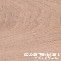 Цветное масло Rubio Monocoat Oil Plus 2C Trend Color Winter Blush 0,02 л