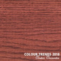 Цветное масло Rubio Monocoat Oil Plus 2C Trend Color Rusty Brown 0,02 л