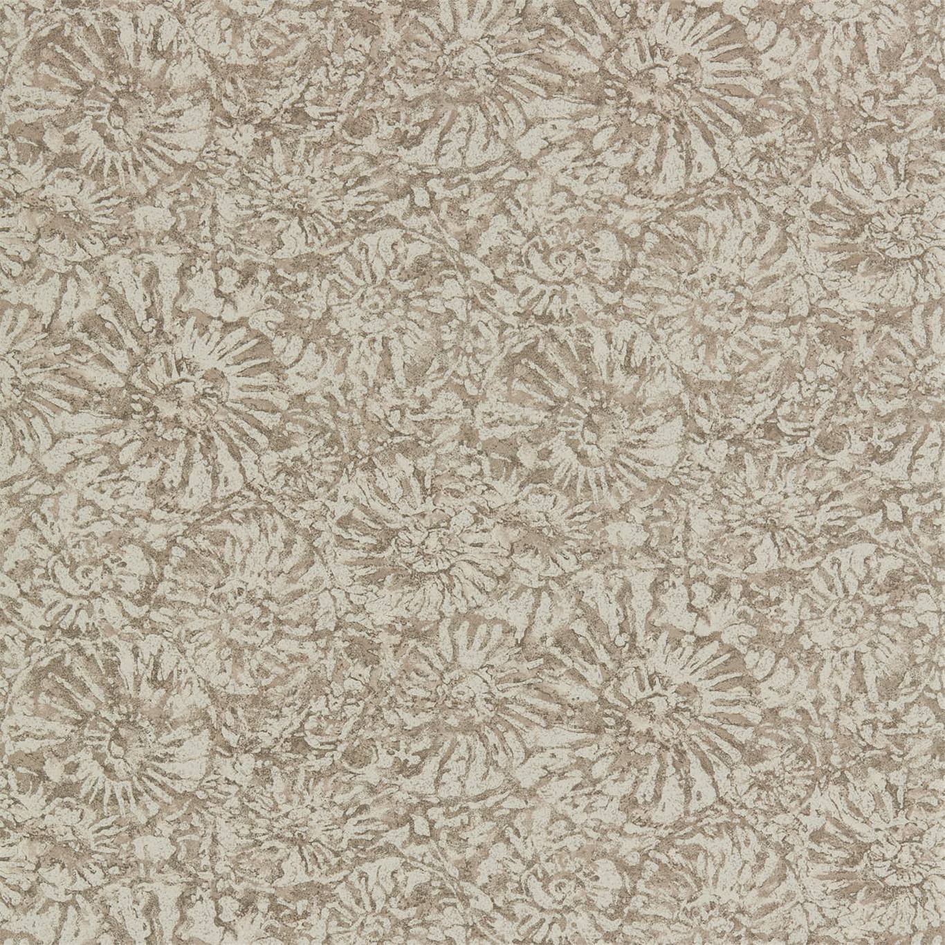 Обои Anthology 07 Ammonite EANW112564