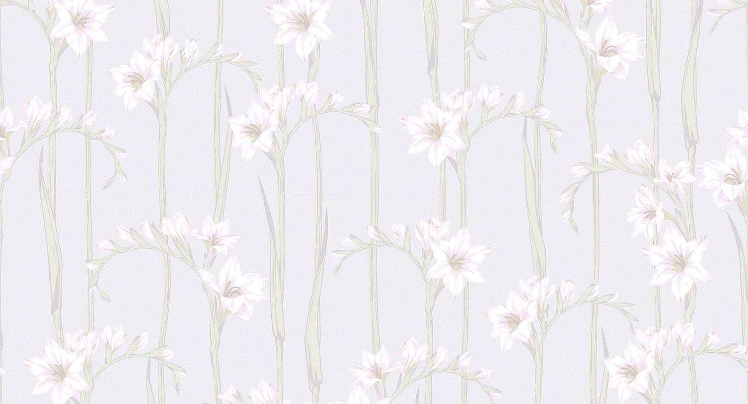 Обои Loymina Origins Gladiolus ALS2 001