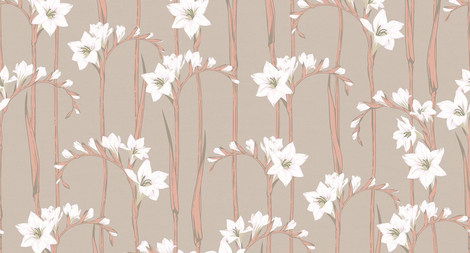 Обои Loymina Origins Gladiolus ALS2 012