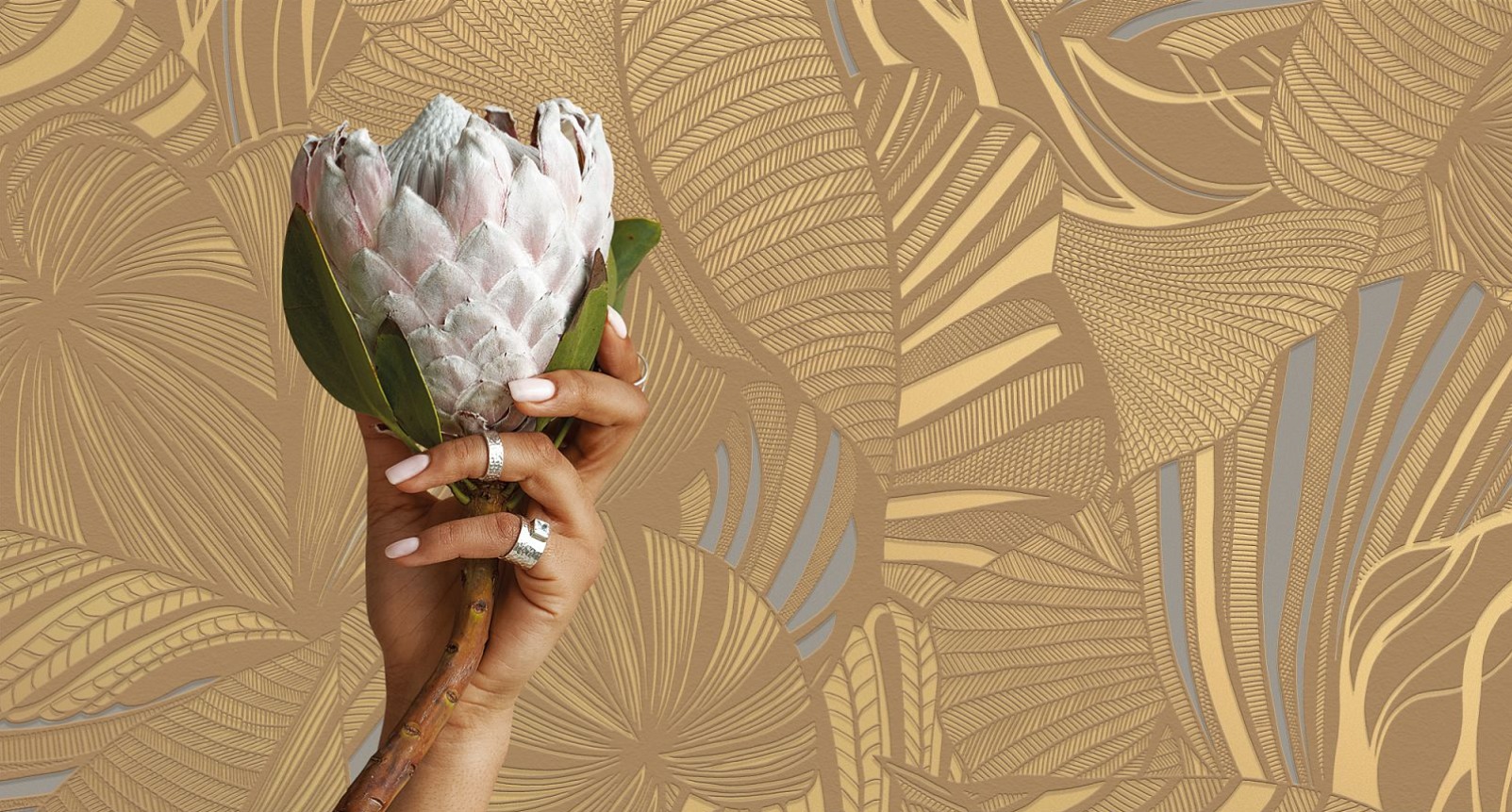 Обои Loymina Amazonia Monstera Ins5 004 фото в интерьере
