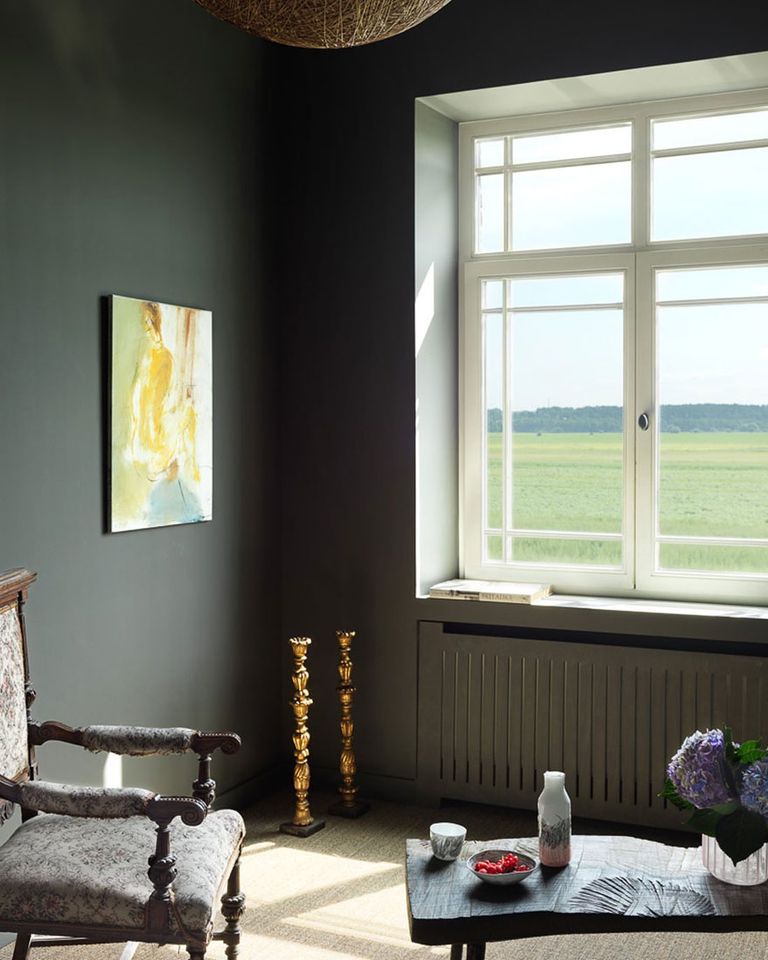 Краска Lanors Mons цвет Маслина Black Olive 40 Interior 0,2 л фото в интерьере