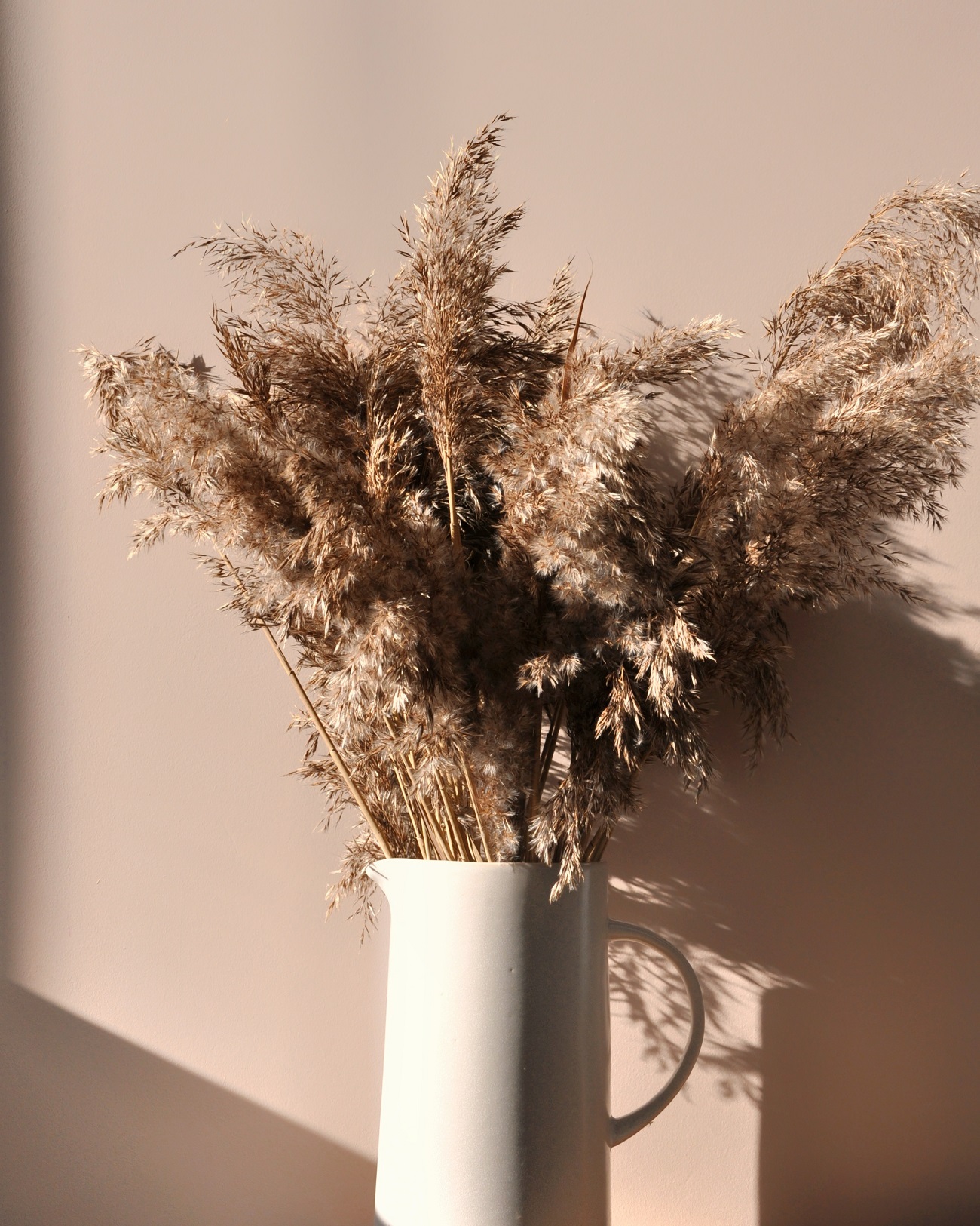 Краска Lanors Mons цвет Античная камея Antique cameo 191 Interior 0,125 л фото в интерьере Краска Lanors Mons цвет Античная камея Antique cameo 191 Interior 0,125 л фото в интерьере