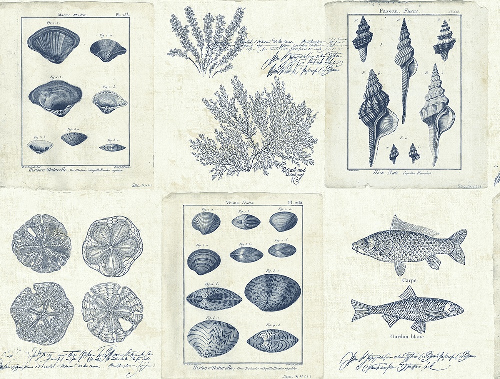 Обои KT Exclusive Destination USA TH50902 Обои KT Exclusive Destination USA TH50902